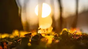 Zachód słońca w zatoce Skonał, nad jeziorem Tałty, marzec 2024 r. - zdjęcie 13