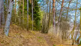 Mazurska przyroda w połowie marca 2024 r. - zdjęcie 7