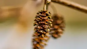 Mazurska przyroda w połowie marca 2024 r. - zdjęcie 4