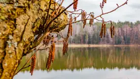 Mazurska przyroda w połowie marca 2024 r. - zdjęcie 14