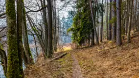 Mazurska przyroda w połowie marca 2024 r. - zdjęcie 19