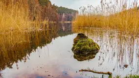 Mazurska przyroda w połowie marca 2024 r. - zdjęcie 6
