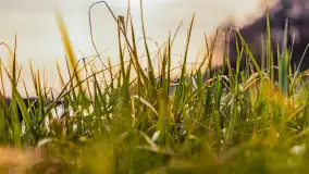 Wschód słońca nad jeziorem Kisajno, port AWF - zdjęcie 15