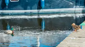 Port w Wierzbie u progu sezonu 2024 - zdjęcie 36