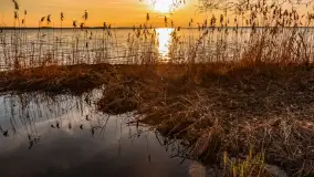 Jezioro Dargin przed zachodem słońca, marzec 2024 r. - zdjęcie 33