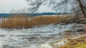 Bełdany Tarpan II, marzec 2024 r. - zdjęcie 7
