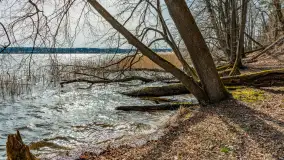 Bełdany Tarpan II, marzec 2024 r. - zdjęcie 11