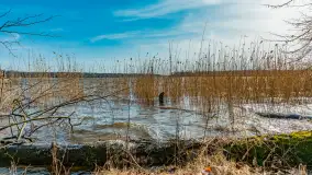 Bełdany Tarpan II, marzec 2024 r. - zdjęcie 22