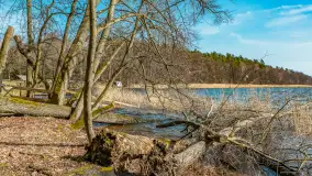 Bełdany Tarpan II, marzec 2024 r. - zdjęcie 35