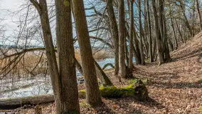 Bełdany Tarpan II, marzec 2024 r. - zdjęcie 24