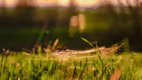 Wiosenne kadry o zachodzie słońca, koniec marca 2024 r. - zdjęcie 3