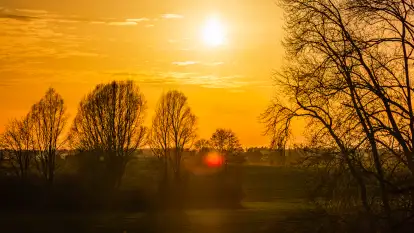 Wiosenne kadry o zachodzie słońca, koniec marca 2024 r.