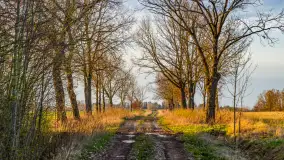 Wiosenne kadry o zachodzie słońca, koniec marca 2024 r. - zdjęcie 16