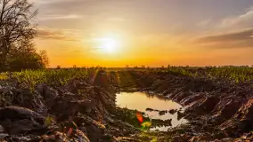 Wiosenne kadry o zachodzie słońca, koniec marca 2024 r. - zdjęcie 21