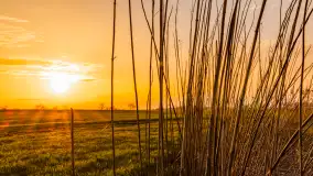 Wiosenne kadry o zachodzie słońca, koniec marca 2024 r. - zdjęcie 7