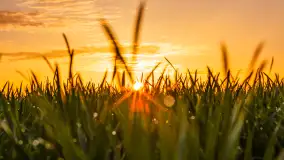 Wiosenne kadry o zachodzie słońca, koniec marca 2024 r. - zdjęcie 23