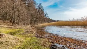 Wiosna nad jeziorem Bełdany, Binduga Tarpan I - zdjęcie 1