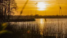 Wiosna i zachód słońca na półwyspie Kula, kwiecień 2024 r. - zdjęcie 19