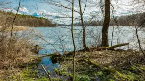 Wiosna i polana Wydra przy jeziorze Tyrkło, marzec 2024 r. - zdjęcie 3