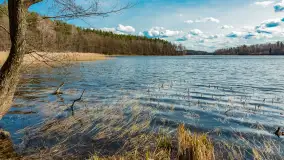 Wiosna i polana Wydra przy jeziorze Tyrkło, marzec 2024 r. - zdjęcie 2