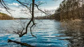 Wiosna i polana Wydra przy jeziorze Tyrkło, marzec 2024 r. - zdjęcie 15