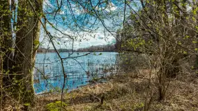 Wiosna i polana Wydra przy jeziorze Tyrkło, marzec 2024 r. - zdjęcie 25