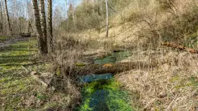 Śluza Leśniewo Górne na wiosennych ujęciach, marzec 2024 r. - zdjęcie 48