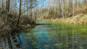 Śluza Leśniewo Górne na wiosennych ujęciach, marzec 2024 r. - zdjęcie 23
