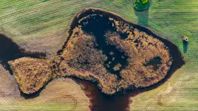 Mazurskie pajęczyny o wschodzie słońca nad jeziorem Dobskim - zdjęcie 17