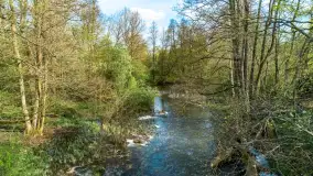 Młyn wodny i jaz we wsi Krutyński Piecek, kwiecień 2024 r. - zdjęcie 8