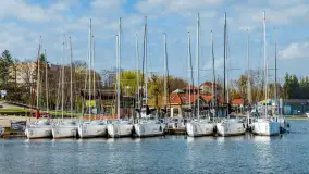 Wiosenna wersja portu AZS Wilkasy, sezon 2024 tuż tuż... - zdjęcie 10