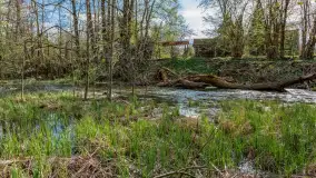 Zabytkowy młyn wodny przy Krutyni, kwiecień 2024 r. - zdjęcie 40