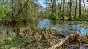 Zabytkowy młyn wodny przy Krutyni, kwiecień 2024 r. - zdjęcie 19