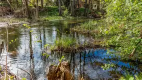 Zabytkowy młyn wodny przy Krutyni, kwiecień 2024 r. - zdjęcie 26