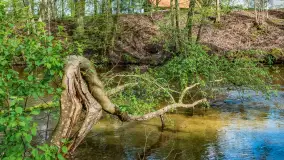 Zabytkowy młyn wodny przy Krutyni, kwiecień 2024 r. - zdjęcie 21