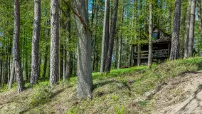 Port i Ośrodek Wypoczynkowy Wodnik, Ruciane Nida, kwiecień 2024 r. - zdjęcie 21