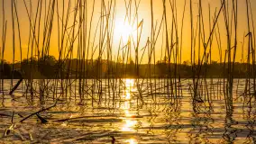 Zachód słońca nad jeziorem Salęt, kwiecień 2024 r. - zdjęcie 8