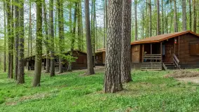 Zdjęcia: Atrakcyjne noclegi w domkach nad jeziorem Nidzkim: Ośrodek Wypoczynkowy Wodnik - zdjęcie 5