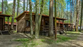 Zdjęcia: Atrakcyjne noclegi w domkach nad jeziorem Nidzkim: Ośrodek Wypoczynkowy Wodnik - zdjęcie 1