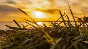 Zachód słońca nad jeziorem Niegocin, kwiecień 2024 r. - zdjęcie 6