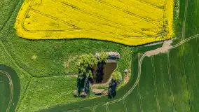 Rzepakowe pola widoczne z lotu ptaka, maj 2024 r. - zdjęcie 14