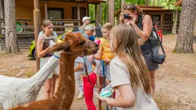 Dzień Dziecka w Ośrodku Wypoczynkowym Wodnik, czerwiec 2024 r. - zdjęcie 15