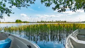 Plaża nad jeziorem Rydzówka pod koniec maja 2024 r. - zdjęcie 10