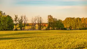 Mazury w wieczornych promieniach słońca, maj 2024 r. - zdjęcie 28
