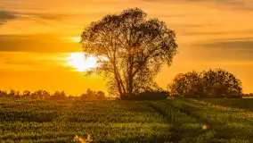 Mazury w wieczornych promieniach słońca, maj 2024 r. - zdjęcie 29