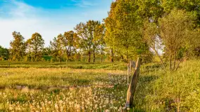 Mazury w wieczornych promieniach słońca, maj 2024 r. - zdjęcie 8