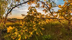 Mazury w wieczornych promieniach słońca, maj 2024 r. - zdjęcie 22