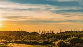 Mazury w wieczornych promieniach słońca, maj 2024 r. - zdjęcie 13