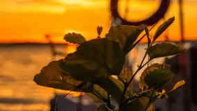 Zachód słońca w przystani Rajcocha, lipiec 2024 r. - zdjęcie 51