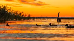 Zachód słońca w przystani Rajcocha, lipiec 2024 r. - zdjęcie 26